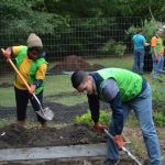 World Mission Society Church of God, wmscog, volunteers, volunteerism, firefighters, fire station, department, garden, gardening, food, harvest, North Carolina, NC, Durham, Raleigh