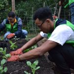 World Mission Society Church of God, wmscog, volunteers, volunteerism, firefighters, fire station, department, garden, gardening, food, harvest, North Carolina, NC, Durham, Raleigh