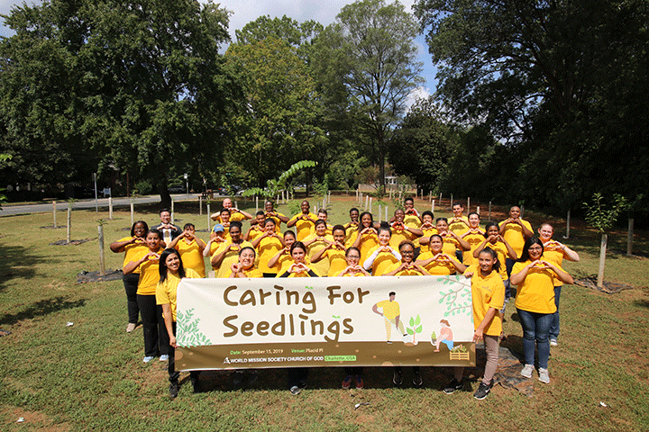 Tree Maintenance in the City of Charlotte